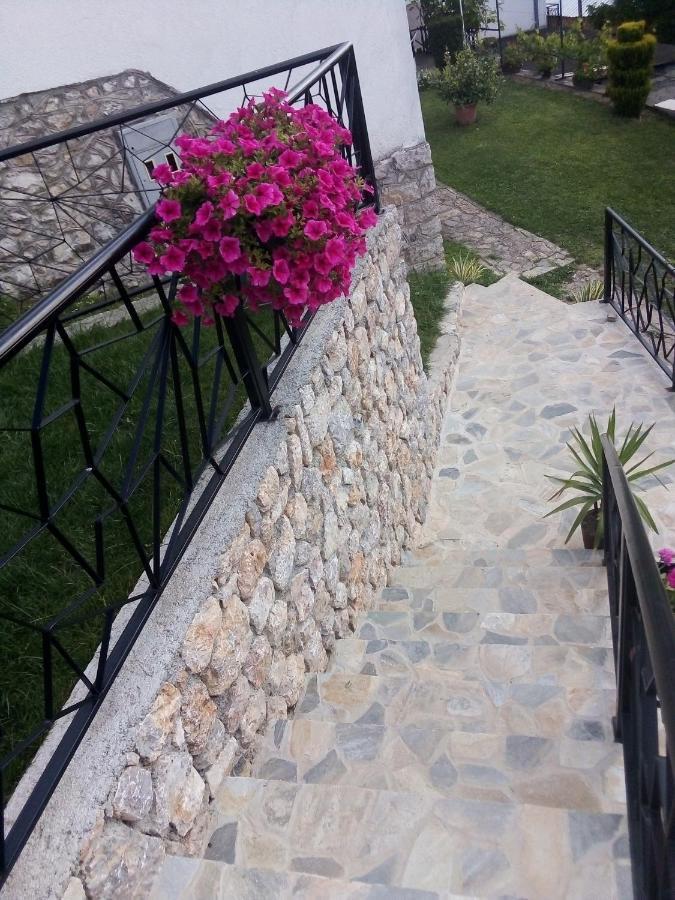 Guest House Stevovski Elshani Ngoại thất bức ảnh