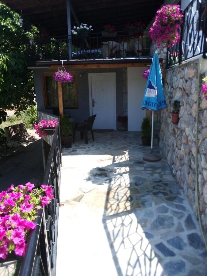 Guest House Stevovski Elshani Ngoại thất bức ảnh