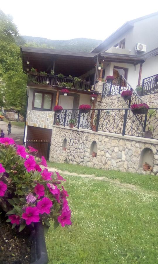 Guest House Stevovski Elshani Ngoại thất bức ảnh