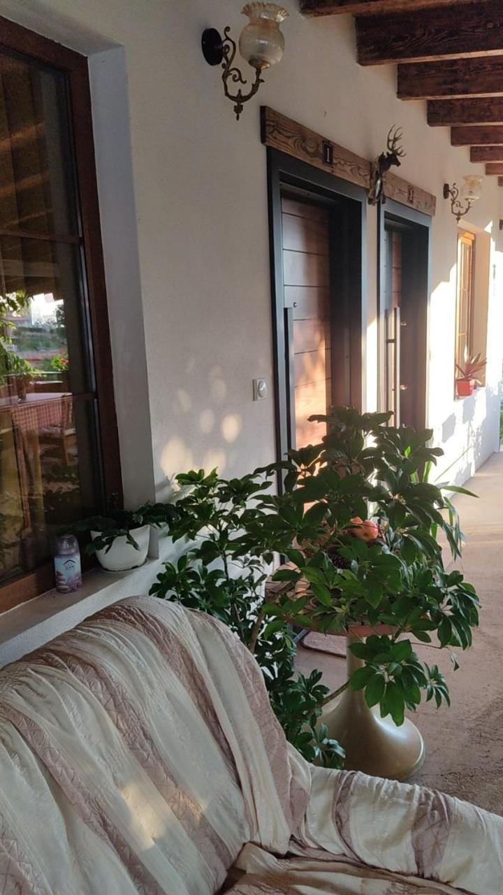 Guest House Stevovski Elshani Ngoại thất bức ảnh