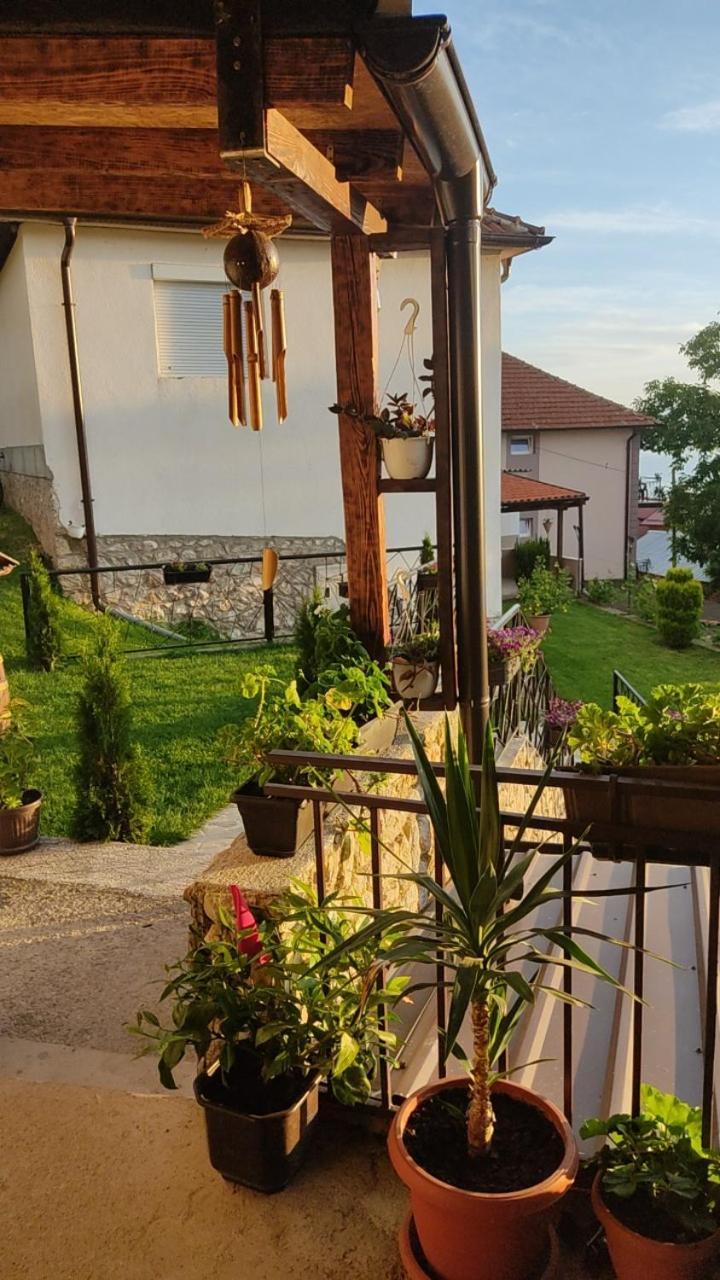 Guest House Stevovski Elshani Ngoại thất bức ảnh